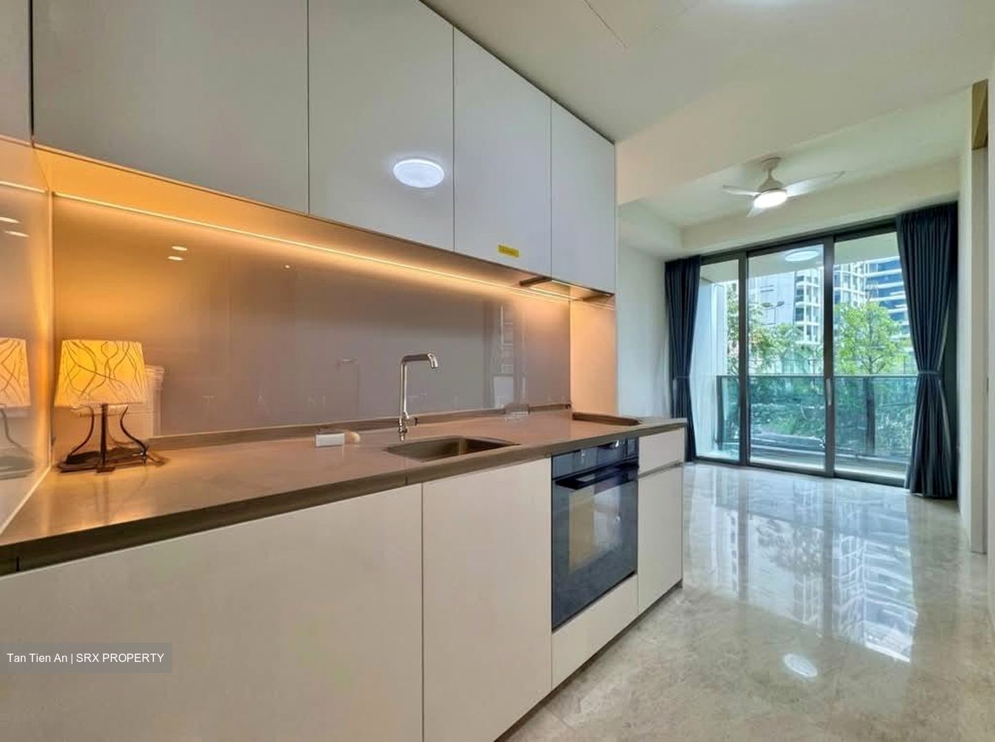 Amber Park (D15), Condominium #591402061